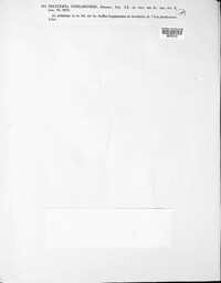 Phlyctema cheilarioides image
